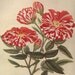 Vintage Botanical Print, 1940s, Flower Print to Frame, Vintage Home Decor, Rosa Mundi No. 14