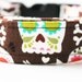 1 inch Brown Skull Día de los Muertos dog collar