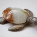 Onyx and Stone Turtle for the Nature Lover or for a Planter or Terrarium
