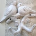 RESERVED sparrows hooks & shark jars