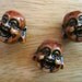 10% off during the month of November/3 LIGHT BROwn HAPPY BUDDHAS