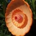 Garden Decor - Glass Flower Garden Plate Art Hand Painted in bright Orange & Hot Pink - Suncatcher - Lawn Ornament - Glass Garden Stake