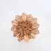Pink Daisy Knob