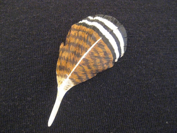 Pocket And Feather On Wood Wood Duck Wooden Feather Pin Side Pocket Or Flank Feather