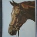 Watercolor Chestnut - Vintage Framed Sharon Blaine Horse Print