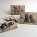 Bloodhound, St. Bernard, Great Dane and Irish Wolfhound vintage printed photo etchings from a 1930s card series of Dog Studies