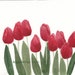 Red Tulips Original Watercolor Painting