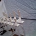 Traditional Chess set: Heat Bent