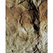 The Slow Talk of Stones - Poetry Reserved for Fuzzymamma