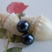 SALE Free Shipping - Black Purple Freshwater Pearl Earrings: Sterling Silver Stud Earrings, Super Lust AAA Round Pearls, Navy Blue Overtone