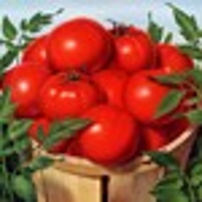 myvictorygarden