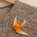 Vintage Brooch Swallow Orange Bird
