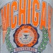 Vintage 90's University Of Michigan tank top L