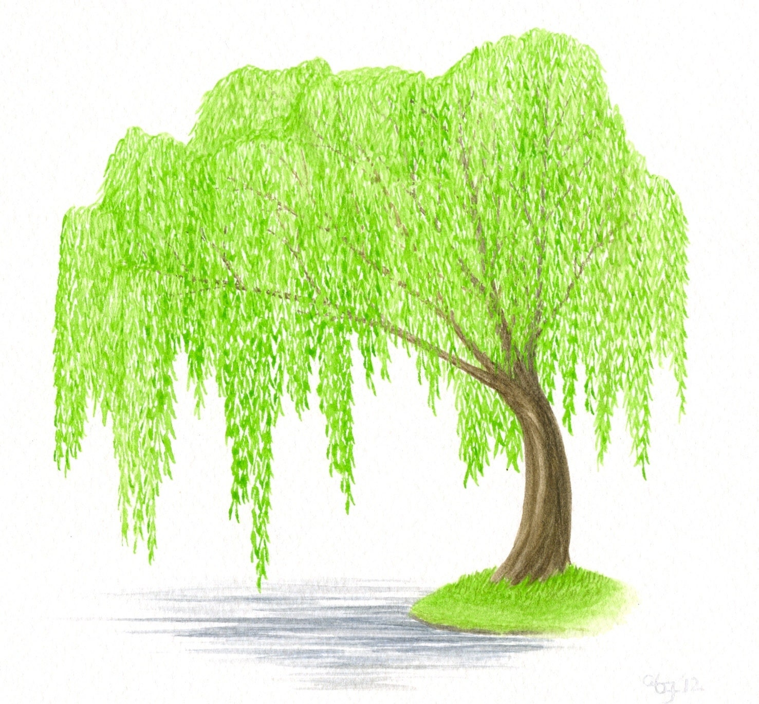 Original Painting Tree Watercolor Weeping Willow Tree and