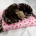 Pink Hearts and Chocolate Zebra Hedgie Sleeping Snuggle Bag plus Matching Play Tunnel, Hedgehog, Rat, Sugar Glider, Guinea Pig