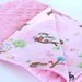 Minky Snuggles Pink Plush Baby Blanket - Riley Blake Hoo's In the Forest