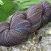 Handspun Yarn Fingering Sockweight Mixed BFL "African Sunset'" 382 yds.