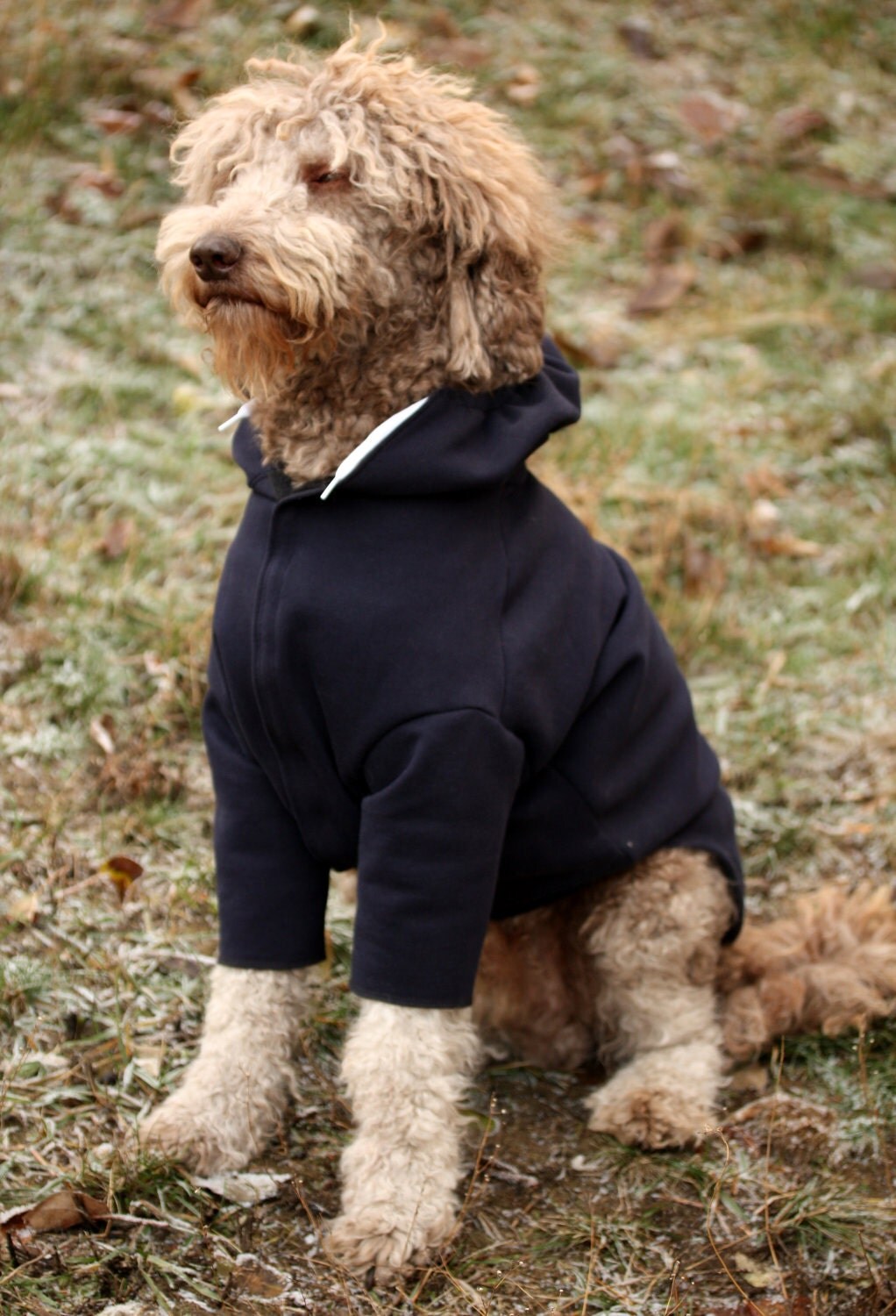 Big Dog Black Fleece Hoodie.Other colours available