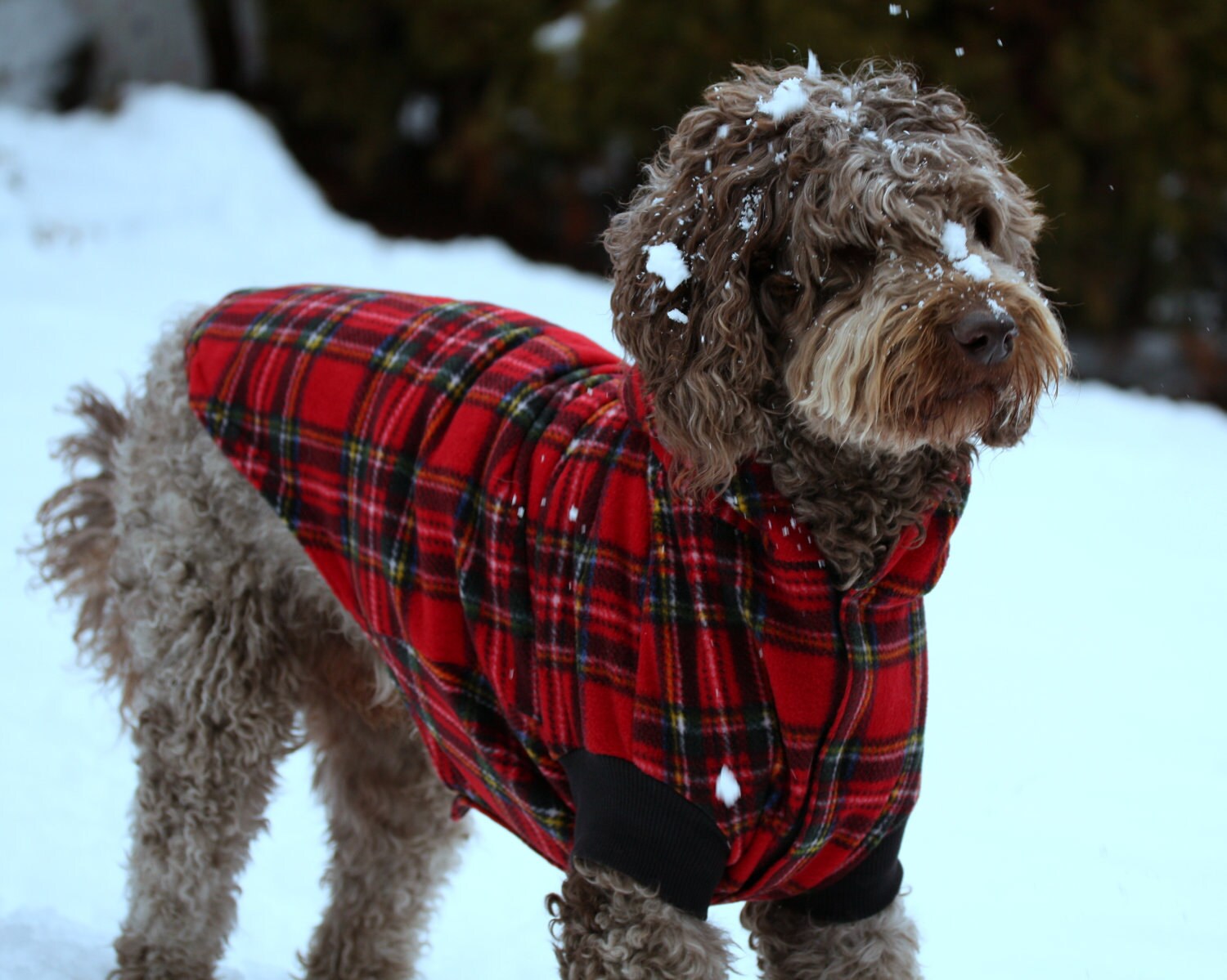 Red Plaid Fleece Big Dog Coat