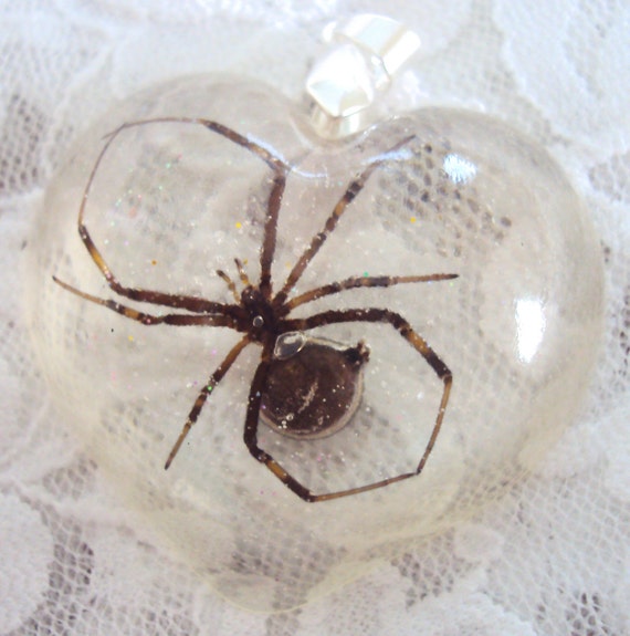 Real Black Widow Spider Clear Resin Heart Pendant