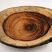 Wood Platter No. 120201 - Natural Edge Genicero
