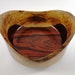 Wood Bowl No.120605 - Cocobolo Natural Edge