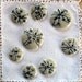 Nature Collection Cabochons.Porcelain Flatbacks.Celadon Glaze.