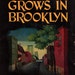 A Tree Grows in Brooklyn by Betty Smith