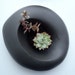 Large sculptural planter