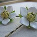 Vintage Hair Pins
