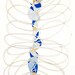 January 18, 2012 (Endless Topography 4) - original ink, watercolor, & gold paint drawing