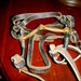 Full headgear with bridle, reins and copper or brass snaffle