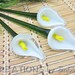 Glass Flowers, Peace Lilies, Flower Stems, Spathipyllum, Spath, White, Yellow, Green, Vintage REDUCED PRICE