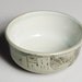 Light Green Porcelain Bowl with Tree Coverage Map
