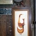 Vintage Faux Wood Grain Print