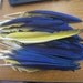 Naturally Shed - Cruelty Free - Lot of 50 Blue Yellow Macaw Primary Wing Feathers