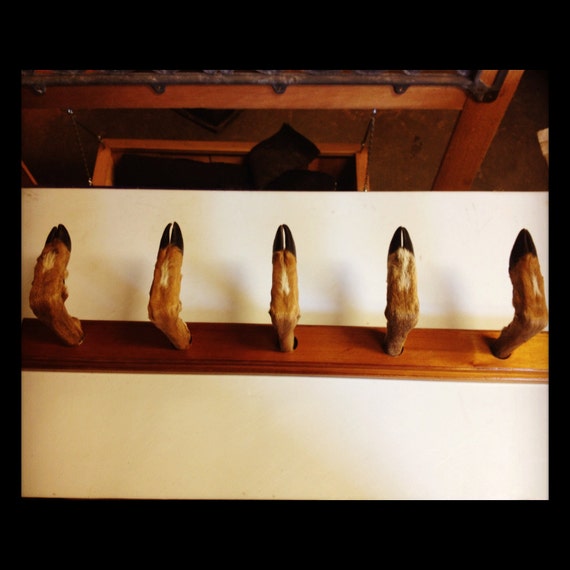 Deer Hoof Coat Rack