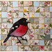 Scarlet Robin Lino Print Collage - OOAK - Australian Native Bird