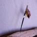 Hair Stick, African Quill,Feathers,Beads,Leather, Spent 22 caliber silver casing, Unique, Handmade