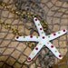 FSU OR UF Starfish Necklaces Team Sport