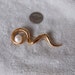 Vtg Pin-Marked Squiggle Pin-P1160