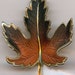 Vintage Leaf Brooch. Sycamore Leaf in Gold Tone with the Colors of Fall