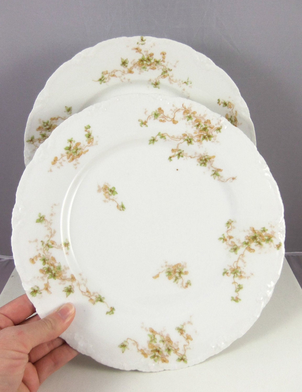 Theodore Haviland Limoges France PAIR of Porcelain Plates