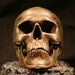 Cast Aluminum Skull