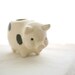 Vintage Mid Century Ceramic Spotted Pig Toothpick Holder