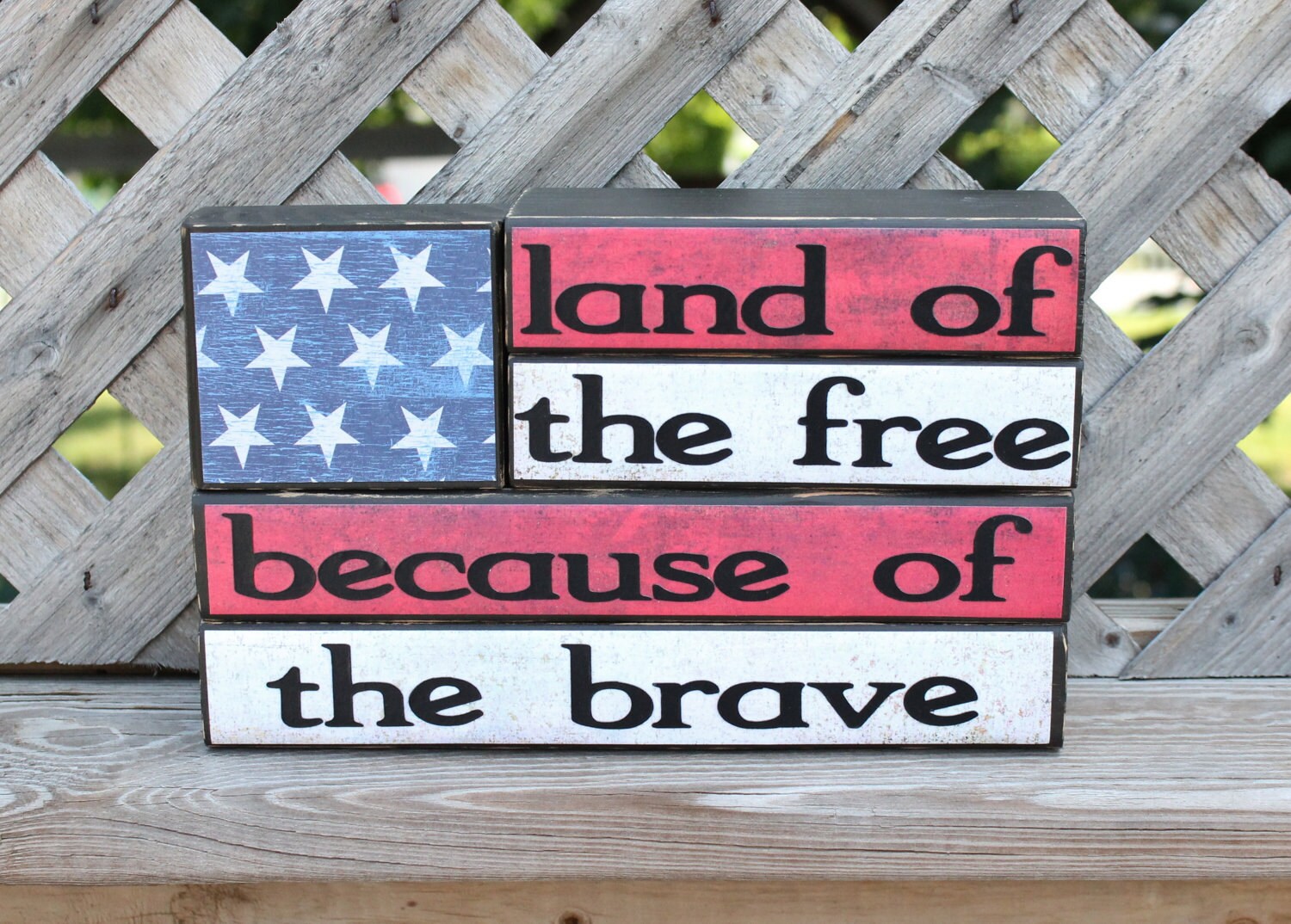 land of the free because of the brave image