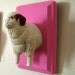 SALE: Pink Bighorn Sheep Toyidermy Wall Plaque