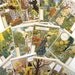 Art Nouveau Postcards by Eugene Grasset-Set of 12