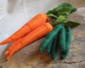 Rabbit Veggies Felt Food Kit