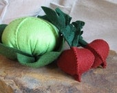 Springtime Garden Veggies Felt Food Kit